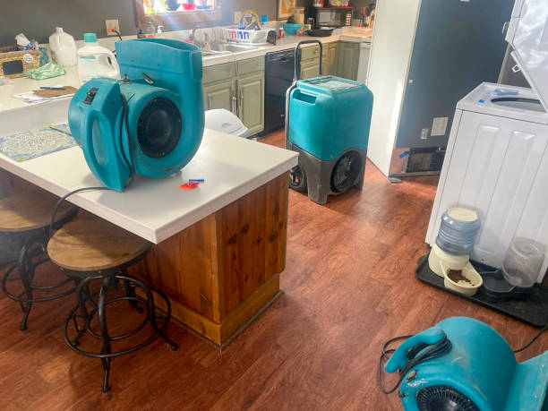 Best Water damage restoration near me  in Newpt, OR