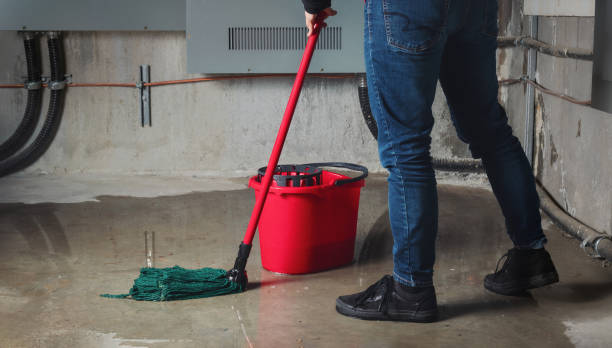Best Carpet water damage restoration  in Newpt, OR