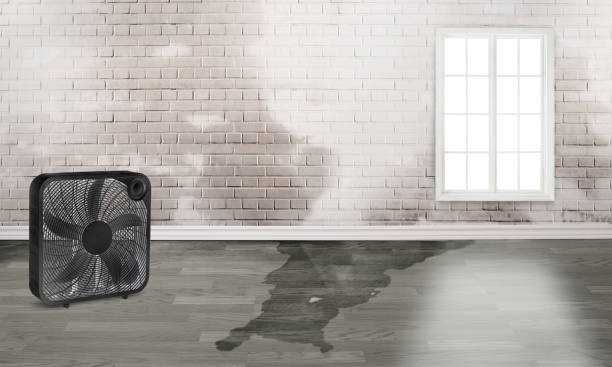 Trusted OR Water damage restoration Experts
