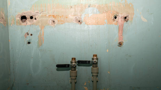  Newpt, OR Water damage restoration Pros