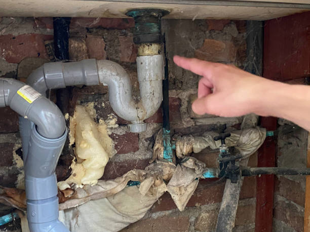 Best Ceiling water damage repair  in Newpt, OR