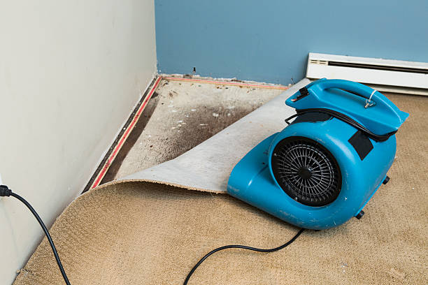 Best Water damage restoration near me  in Newpt, OR